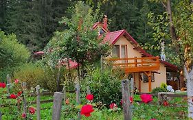 Forest Vibes Spa